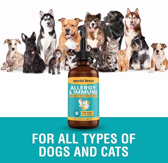 Special Breed Allergy & Immune with Elderberry, Allergy Relief for Cats and Dogs, Anti Itch Treatment, Relief for Pet Allergies, Immune Support for Cat or Dog, 4 oz