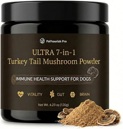 Turkey Tail Mushroom Powder for Dogs – Ultra 7-in-1 Mushroom Powder with Beta-Glucans, Immune, Digestive & Brain Support, Chicken Liver Flavor, Daily Supplement for Dogs-120g