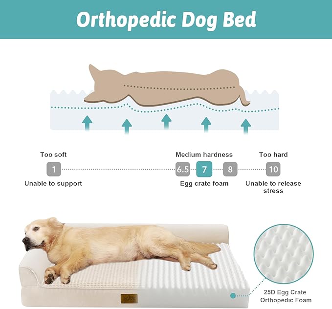 COZY KISS Orthopedic Dog Bed for Medium Small Size Dog, Dogs Crate Bed, L Shaped Foam Anti-Slip Bottom Pet Cat Sofa with Washable Removable Cover, Suitable for Pet Up to 40 lbs, 30x20x6.5 inch, Beige