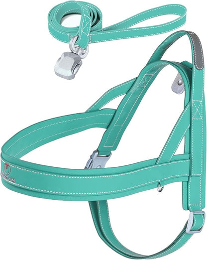 Magnetic Dog Harness and Leash Set with Quick Release Buckle, Easy On & Off Faux Leather Puppy Harness and Leash with Handle for Medium, Large Sized Dog