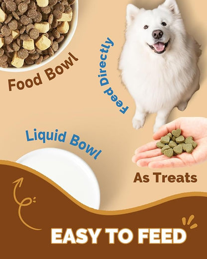 Mushrooms for Dogs - Turkey Tail Mushroom for Dogs - Gut, Skin, Joint, Immune Health- Dog Lumps & Bumps - 13 Organic Mushrooms Turkey Tail, Reishi, Lions Mane, Glucosamine, MSM - Chicken Flavor
