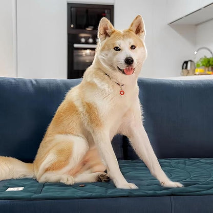 Travel Dog Bed | Camping Dog Bed | 37.4"x25.6" Waterproof Outdoor Dog Mat | Portable Place Mat for Dogs with Handle | Machine Washable | Easy Clean for Outdoor Adventures (Blue)
