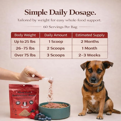 Natural Dog Company Dog Food Topper, Antioxidant Berry Vitamins & Superfood Meal Topper Supplement, Holistic Nutrition, Dog Food Seasoning, Immune Support, All Breeds, Ages, & Sizes of Dogs, 8oz Bag