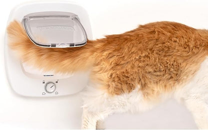 PetSafe Big Cat Door - Multi-Pet Doorway, Locking Cat Door Made For Interior & Exterior Use, Suitable for Pets Up to 25 lb, Push-&-Turn 4-Way Lock for Extra Security – Soft Close Flap for Added Safety