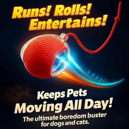Interactive Cat Toys for Indoor Cats, Smart Automatic Cat Chase Ball Toy, Upgraded Speedy Tail Kitten Toy for Bored Indoor Adult Pets (Red)