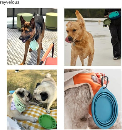 Collapsible Travel Pet Bowl with Carabiner for Dogs and Cats, Portable Silicone Pet Bowl for Waking, Hiking and Traveling (Blue)