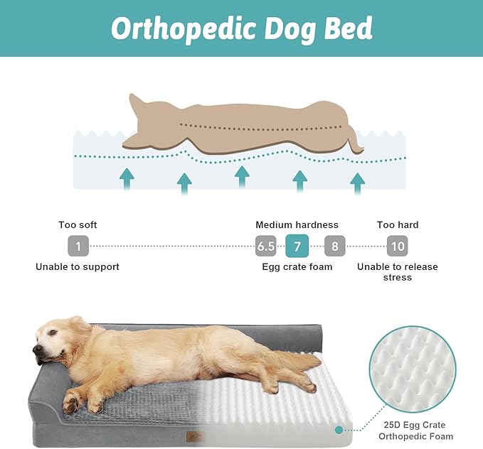 COZY KISS Orthopedic Dog Bed for Extra Large Dog 44x32 inch, XL Pet Sofa, Bolster Foam Bed with Sides, Non-Slip and Egg-Crate Big Dog Couch Bed with Washable Removable Cover, Grey
