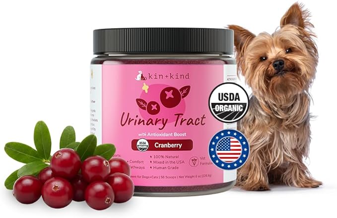 kin+kind Pet Vitamins and Supplements - Immune Support Supplement for Dogs & Cats - Natural Dog Supplements & Cat Supplements w/Organic Ingredients for Healthy Immunity - Made in USA - 8 oz (Large)