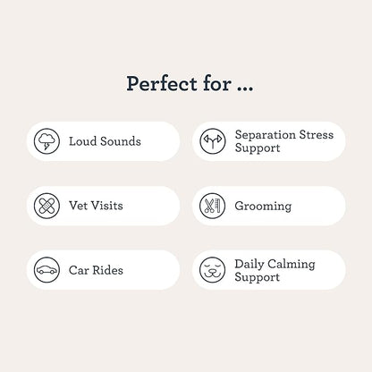 Kradle Calming Bundle for Dogs - Peanut Butter Bliss Bars (6) + Calming Chews (75) - Ashwagandha L-Theanine - Occasional Anxiety Support