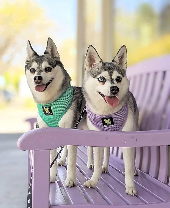 EcoBark Dog Harness - Eco-Friendly Max Comfort Harnesses - Luxurious Soft Mesh Halter - Over the Head Harness Vest- No Pull and No Choke for Small, Toy Breed, and Teacup Dogs (XS, Turquoise Mint)