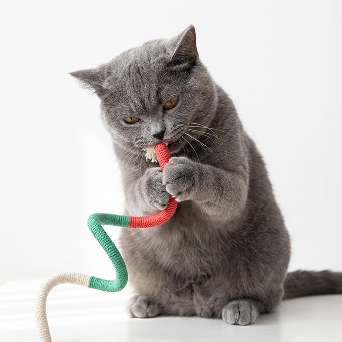 3PCs Cat Chew Toys for Teeth Cleaning - Kitten Teething Toys with Plush Balls & Tassels, Mess-Free & Catnip-Free Interactive Bungee Rope Toys