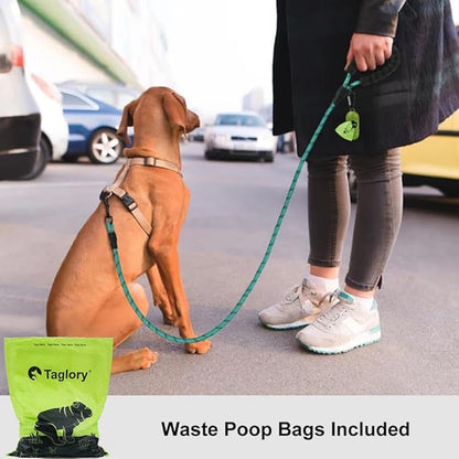 Taglory Rope Dog Leash 5 FT with Comfortable Padded Handle, Highly Reflective Threads Leash and Anti-Tangle Clip for Walking Small Dogs, 3/8 inch, Turquoise