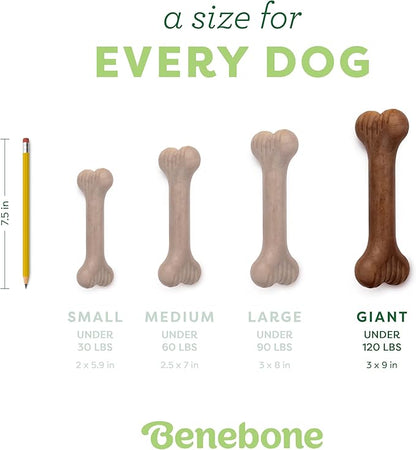 Benebone Bone Durable Dog Chew Toy for Aggressive Chewers, Real Bacon, Made in USA, Giant