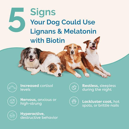 PranaPets Lignans & Melatonin with Biotin Blend Naturally Aids in Relieving Symptoms of Cushing’s in Dogs up to 25 lb | Promote Healthy Balance & Overall Well-Being