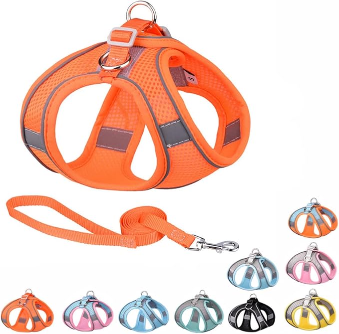 Orange Harness for Dogs, No-Pull Puppy Harness with Leash for Easy Walk, Breathable Mesh Reflective Cat Vest for XXS Xs Small Medium Breed Pet Dogs, XS