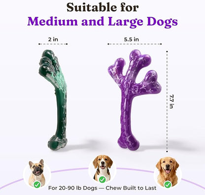 Frienhund 2 Pack Indestructible Dog Chew Toys for Aggressive Chewers - XL Textured Cactus with Grooves for Peanut Butter & Yogurt, Beef Nylon Bones for Large Dogs 20-90 lbs, Easy Chew & Long Lasting