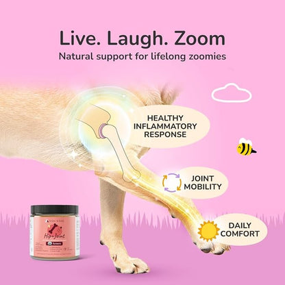 kin+kind Hip and Joint Supplement for Dogs & Cats – Vet Formulated Natural Joint Support with Organic Turmeric, Black Pepper & Coconut – Dog Essentials & Cat Essentials – Made in USA – 3x8 oz (Large)