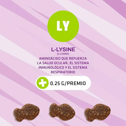 Pet Naturals Lysine for Cats,Chicken Flavor,60 Chews - Immune and Respiratory Support for Cats - No Wheat or Corn - Vet Recommended,(Pack of 2)