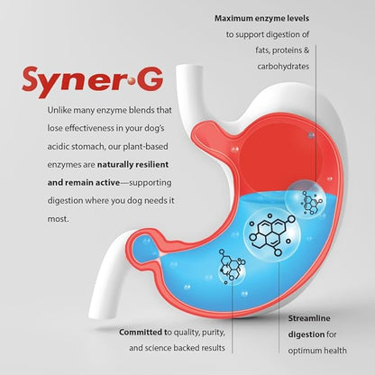 PHS Syner-G Digestive Enzymes Supplement for Dogs and Cats - Alpha-Amylase, Lipase, Cellulase, and Protease - Digestion Support, Absorption of Nutrients, Skin Health - 454 Grams