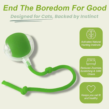 2 Pack Interactive Cat Toy Balls for Indoor, Interactive Puppy Toys Ball with Tail, Automatic Activate Cat Toys with 360° Fast Smart Movement, USB Rechargeability and Durable Enrichment Toy