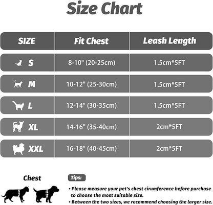 FAYOGOO Cat Harness, Cat Leash and Harness Set for Walking Escape Proof, Harness for Small Cats/Small Dogs, Large Kitten/Puppy Harness and Leash, Harness for Cats S-XXL(Gray, Medium)