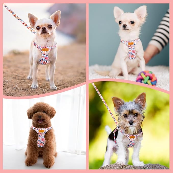 Lukovee Puppy Harness and Leash Set, No Pull Lightweight Soft Suede Adjustable Pet Harness Vest with Snap Buckle for Puppy Small and Medium Size Dog (Flower-XXS)