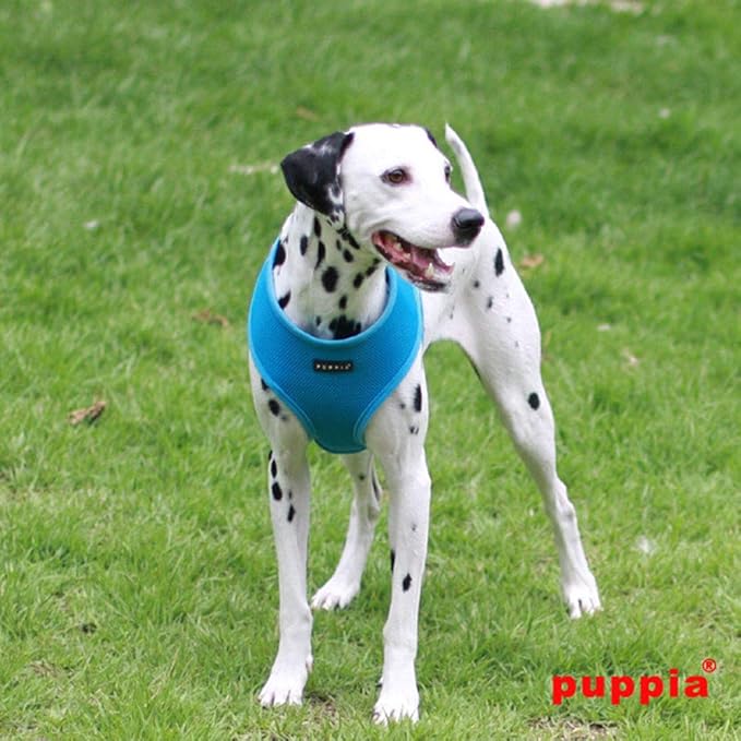 Puppia Soft Dog Harness No Choke Over-The-Head Triple Layered Breathable Mesh Adjustable Chest Belt and Quick-Release Buckle, Sky Blue, Large