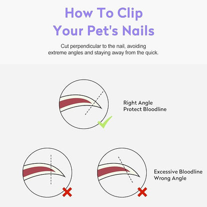 Cat Nail Clippers with Nail File, Kitten Claw Nail Clippers for Trimming, Stainless Steel Pet Bearded Nail Clippers Tool for Dragon, Guinea Pig, Rabbits, Birds, Ferret Small Breed Animals(Green/Pink)