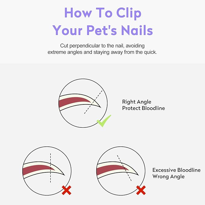 Cat Nail Clippers with Nail File, Kitten Claw Nail Clippers for Trimming, Stainless Steel Pet Bearded Nail Clippers Tool for Dragon, Guinea Pig, Rabbits, Birds, Ferret Small Breed Animals(Pink)
