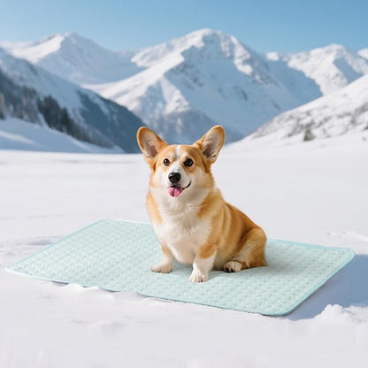 Soulbond Cooling Mat for Small Dogs - 25"x35" Washable Cooling Pad for Dogs & Cats, QMAX>0.3, Anti-Slip Bottom, Portable Summer Cool Pet Bed Pad for Outdoor/Indoor/Cars/Travel Use, Aqua Green