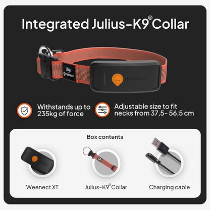 Weenect Dog XT - NEW GPS Collar for Dogs | XL Antenna | Waterproof | Ultra-Durable Integrated Julius-K9 Collar | Subscription Required