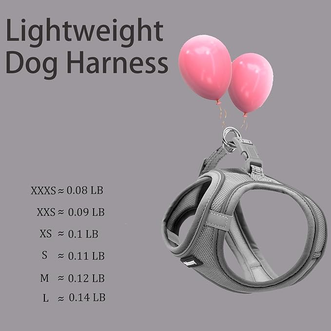 Solmoony Sparkly Medium Dog Harness and Leash Set, Step in Soft Light Puppy Vest, Breathable Reflective Pet Harness for Walking, Puppy Harness for Medium Dogs Cats (Grey, L)