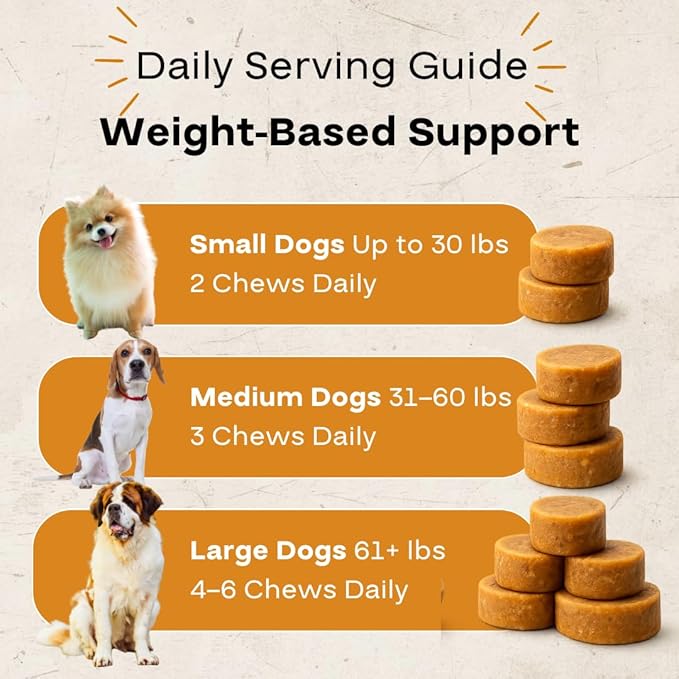 Dog Multivitamin Chews – Daily Dog Vitamins with 19+ Nutrients, Probiotics, Glucosamine & Omega Fish Oils – Supports Energy, Immune Health & Pet Wellness – Chicken Flavor, 120 Soft Chews