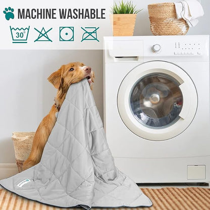 PetAmi Premium Cooling Dog Blanket | Lightweight Fluffy Pet Throw Blanket Bed Cover for Dogs, Cat, Puppies | Pet Blanket Furniture Protector Couch Sofa | Reversible Fuzzy Cozy | 90x90, Light Grey