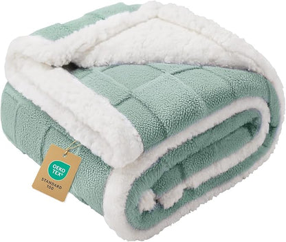 Luciphia Waterproof Dog Blanket, Leakproof Small Pet Blanket for Couch Sofa Bed Furniture Cover Protector, Washable Soft Sherpa Fleece with 3D Jacquard, Cozy Calming Reversible, Green White, 40"x28"