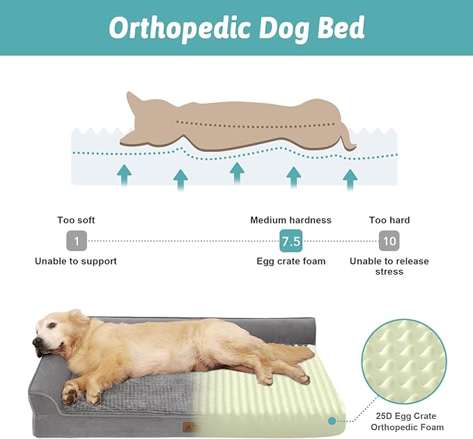 COZY KISS Orthopedic Dog Bed for Large Size Dog, XL Dogs Crate Bed, L Shaped Foam Anti-Slip Bottom Pet Cat Sofa with Washable Removable Cover, Suitable for Pet Up to 100 lbs, 42x30x7.5 inch, Grey