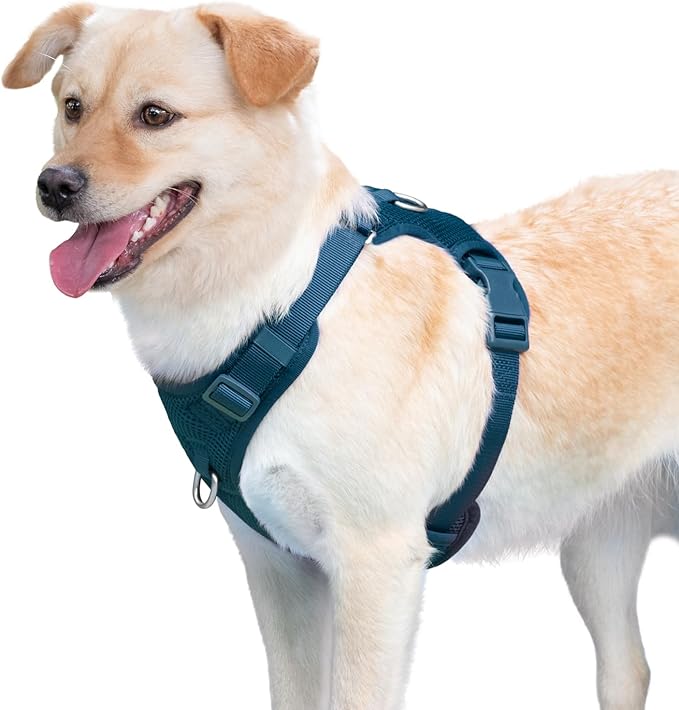 No Pull Dog Harness for Small Medium Large Dogs - Adjustable 2 Layer Mesh Dog Vest with Dual Clip, Escape Proof, Quick Release, Lightweight Breathable Mesh for Walking Hiking (Prussian Blue,M)