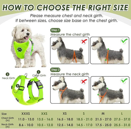 SlowTon Dog Seat Belt Harness for Car, Dog Car Harness Adjustable Mesh Breathable & Dog Seatbelt Safety Tether with Elastic Bungee for Small Medium Large Pets(Lime, Double Clip, M)