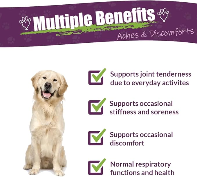 Amber NaturalZ Adizone Herbal Supplement for Dogs | Supports Healthy Inflammatory Response, Occasional Discomfort, and Joint Function | Natural Aid for Active and Aging Canines 4 Fluid Ounces
