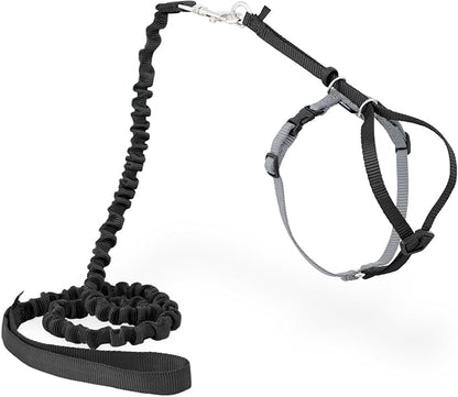 PetSafe Come With Me Kitty Cat Harness & Bungee Leash - Comfortable Cat Harness with Lightweight Bungee Leash for Outdoor Fun - More Secure Walks - Small - Black
