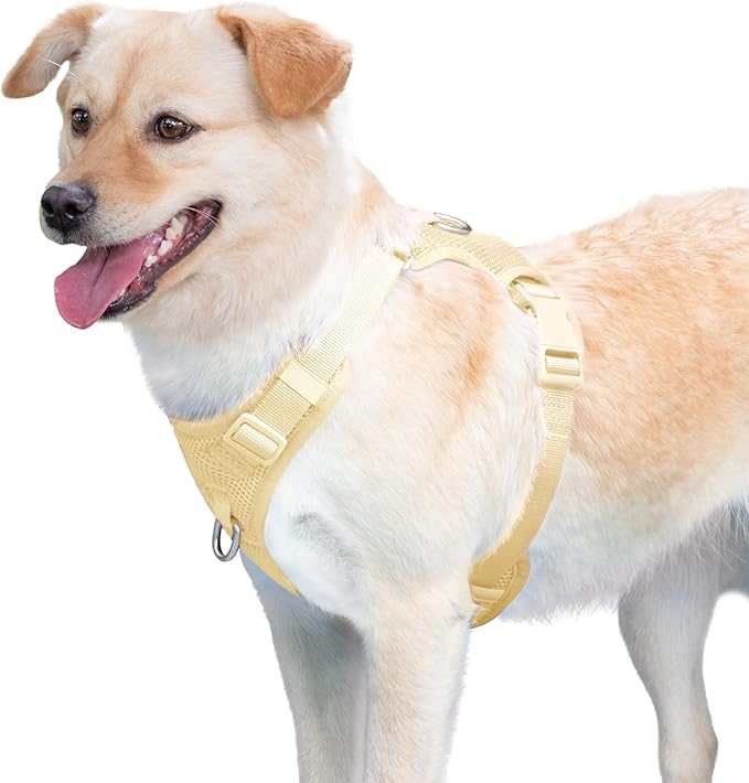 No Pull Dog Harness for Small Medium Large Dogs - Adjustable 2 Layer Mesh Dog Vest with Dual Clip, Escape Proof, Quick Release, Lightweight Breathable Mesh for Walking Hiking (Light Yellow,L)
