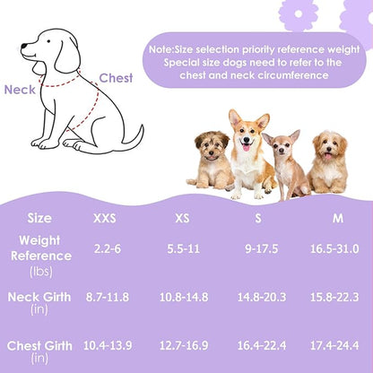 Lukovee Puppy Harness and Leash Set, No Pull Lightweight Soft Suede Adjustable Pet Harness Vest with Snap Buckle for Puppy Small and Medium Size Dog (Purple-S)