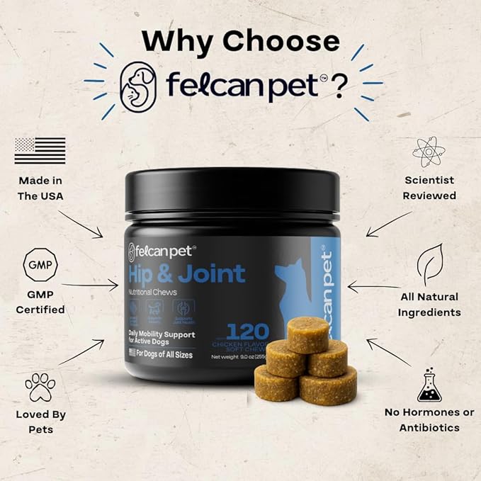 Hip & Joint Chews for Dogs – Glucosamine, Chondroitin, MSM & Green Lipped Mussel – Supports Mobility & Joint Health for Dogs – Natural Dog Joint Supplement – Chicken Flavor, 120 Soft Chews