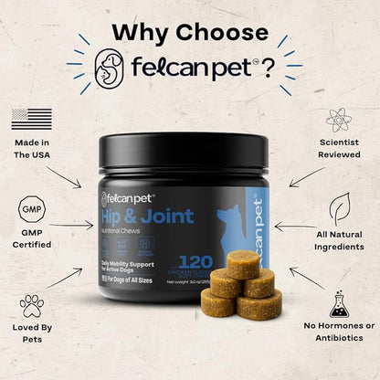 Hip & Joint Chews for Dogs – Glucosamine, Chondroitin, MSM & Green Lipped Mussel – Supports Mobility & Joint Health for Dogs – Natural Dog Joint Supplement – Chicken Flavor, 120 Soft Chews