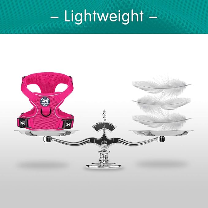 PoyPet Reflective Soft Breathable Mesh Dog Harness No Choke Double Padded Vest Adjustable(Fuchsia,L)