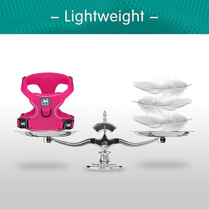 PoyPet Reflective Soft Breathable Mesh Dog Harness No Choke Double Padded Vest Adjustable(Fuchsia,XS)