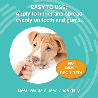 Nootie Medicated Dental Gel for Dogs, Dog Breath Freshener, Cleans Teeth for Dogs - Prevents Plaque and Tartar Dog Oral Care, 4oz