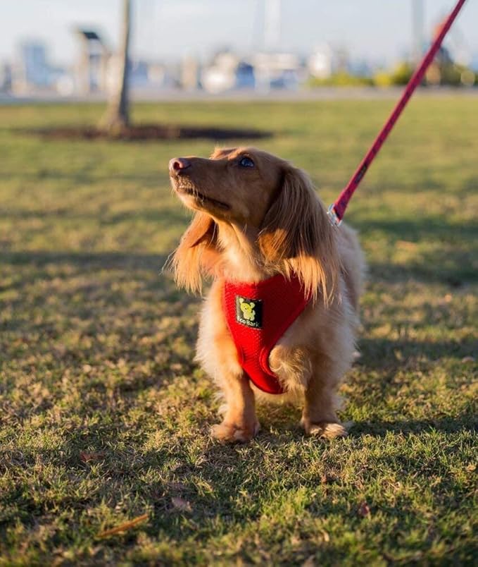 EcoBark Dog Harness - Eco-Friendly Max Comfort Harnesses - Luxurious Soft Mesh Halter - Over The Head Harness Vest- No Pull and No Choke for Puppy, Toy Breeds & Small Dogs (Medium, Red)