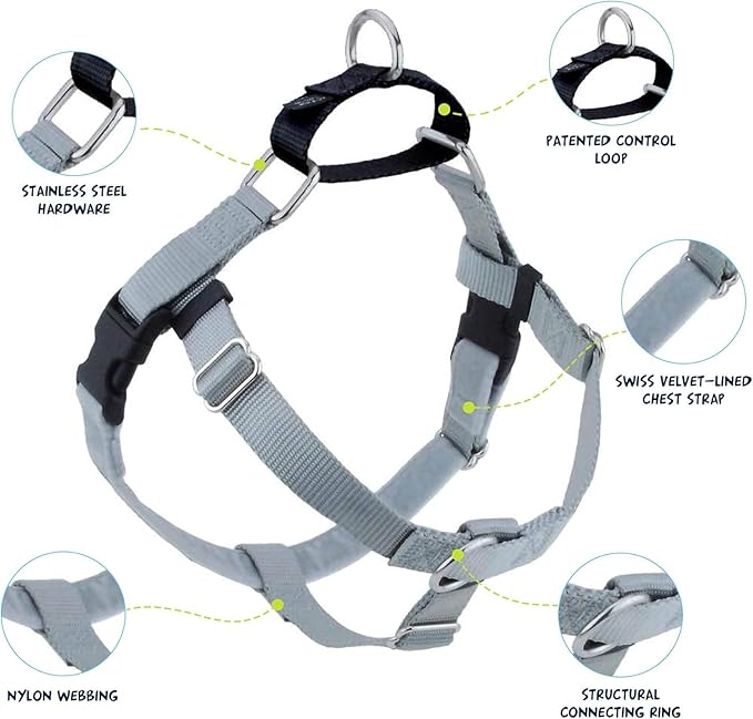 2 Hounds Design Freedom No Pull Dog Harness, Adjustable Harness and Leash Set, Easy Walking & Comfortable Control, Fits Small, Medium & Large Dogs, Solid Colors, Made in USA, 1" XL, Silver