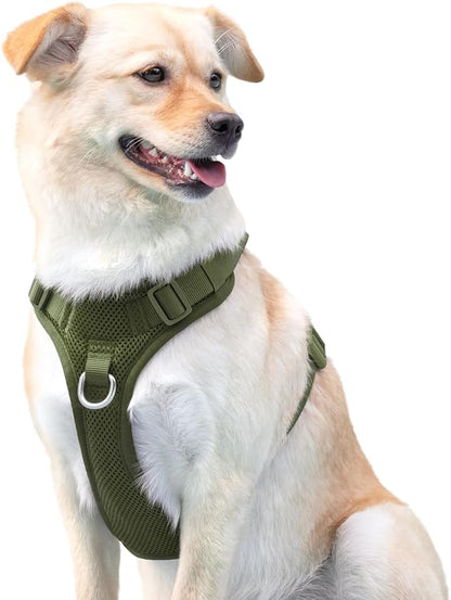 No Pull Dog Harness for Small Medium Large Dogs - Adjustable 2 Layer Mesh Dog Vest with Dual Clip, Escape Proof, Quick Release, Lightweight Breathable Mesh for Walking Hiking (Misty Green,XS)